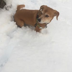 Meet your Posher, Jillian